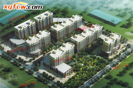 好房急售:罗浮南山美庐大三房精装出售